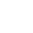 icon nn1