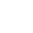 icon nn3
